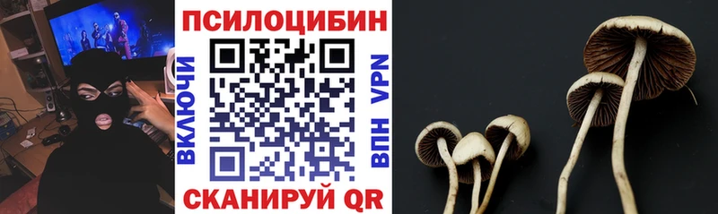 Галлюциногенные грибы Cubensis  даркнет сайт  Себеж 